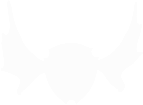 Custom Moose Logo White - Moose (800x533), Png Download