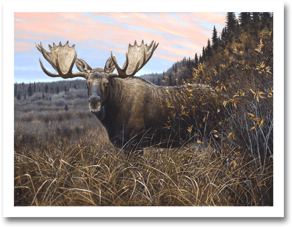 Magic Hour - Oil (1200x1200), Png Download