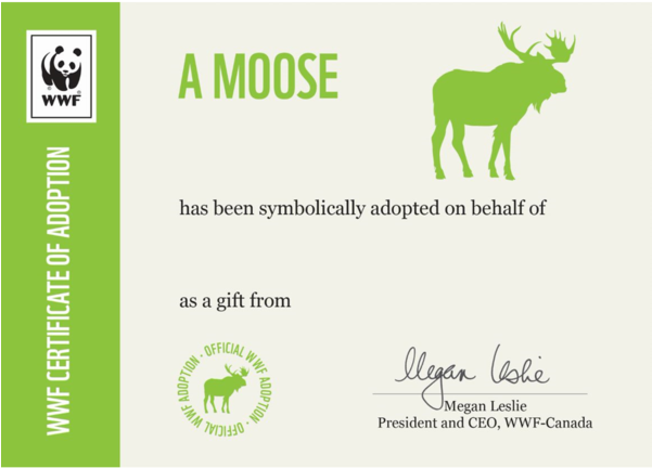 Download Moose Wwf Canada Certificate Adoption Png Image With No