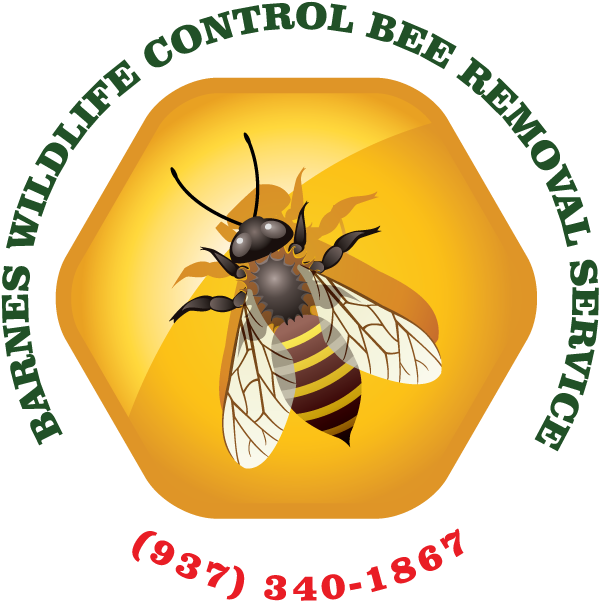 More Insights Into Bees - Bankal National High School (697x680), Png Download