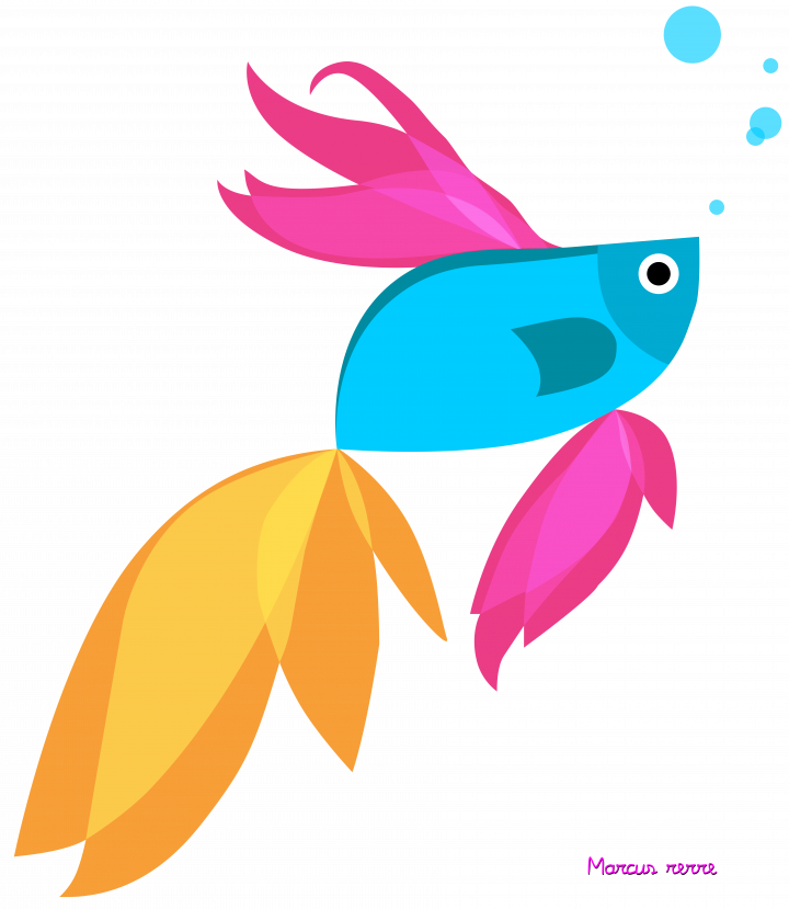 You - Windows 8.1 Beta Fish (720x829), Png Download