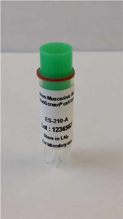 Receptor-expressing Cell Lines - Acrylic Paint (700x700), Png Download