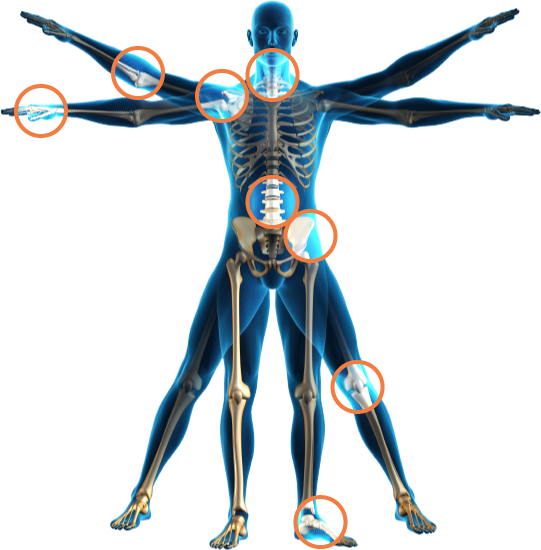 Orthopaedics, Image From - Human Body Transparent Png (541x550), Png Download