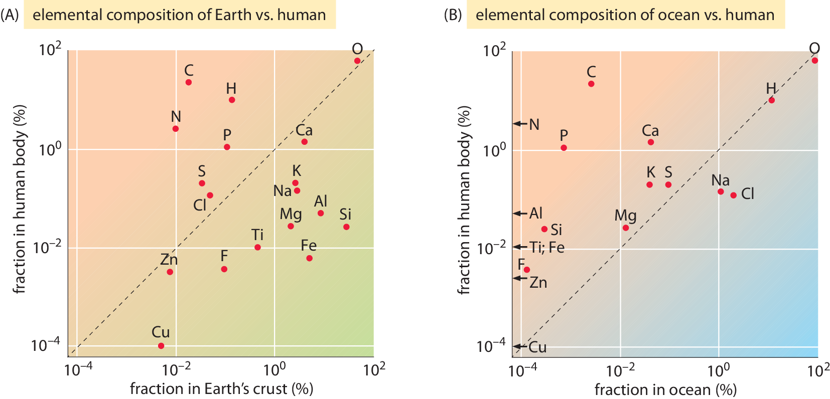 Comparing The Elemental Composition By Weight In Percent - Bacteria Elemental Composition (1654x796), Png Download