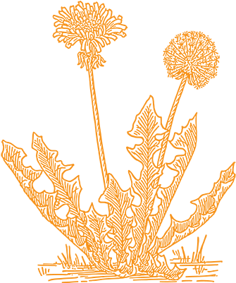 Dandelion Artists Social - Art Dandelion (400x400), Png Download