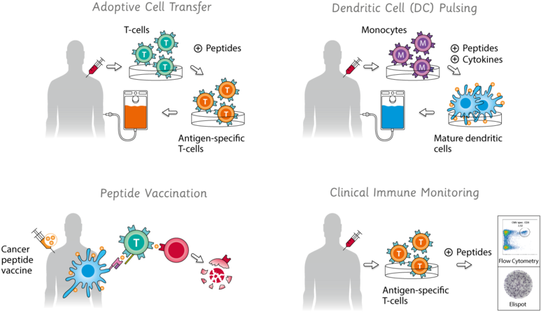 Immune Therapy (815x454), Png Download