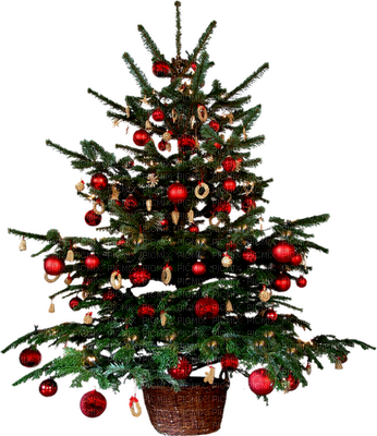 Arvore De Natal - Small Christmas Tree Png (346x400), Png Download