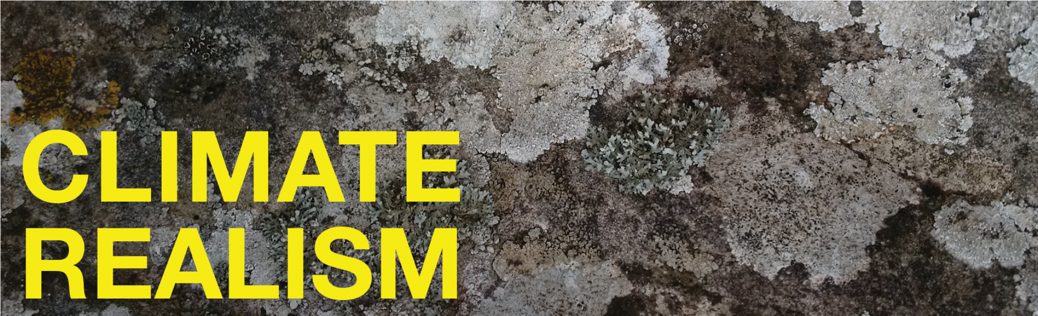 Need Head T Shirt (2136x1200), Png Download