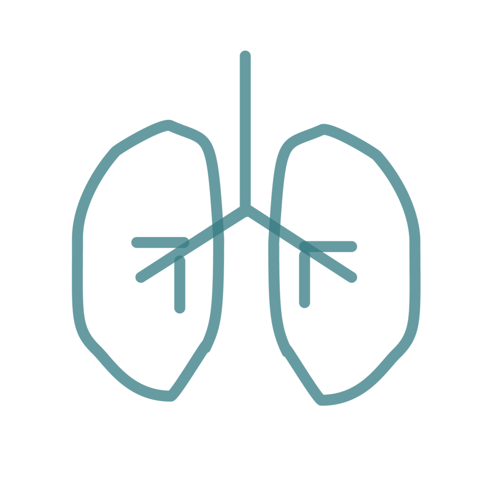 Lung Tealonwhite - El Paso Pulmonary Association (1000x1001), Png Download