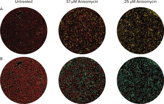 A Detailed Set Of Output Parameters Provided By The - Circle (550x349), Png Download
