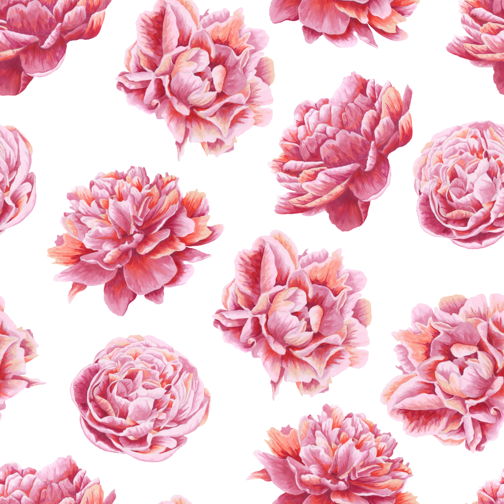 Safflower Transparent Flower Fill Background - Note Cards (pk Of 20) (1024x1024), Png Download