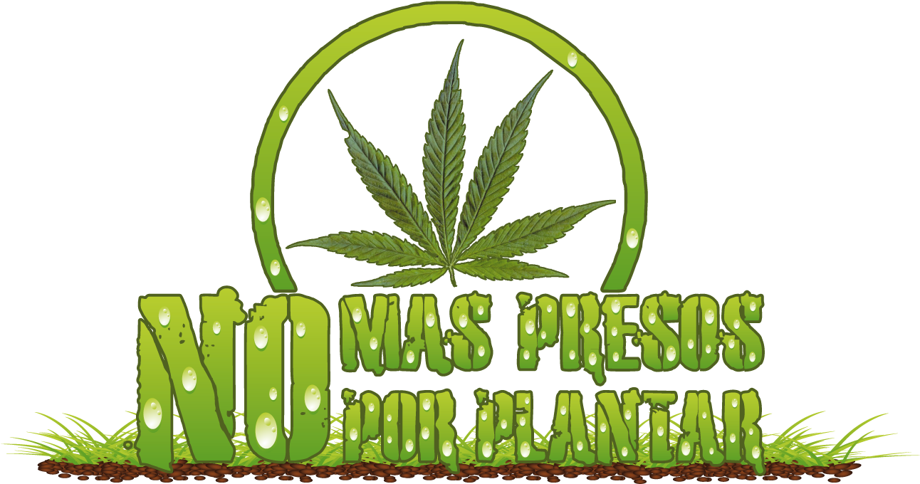 Logo Marcha Nmppp 2012 Oficial By Alexissacateunomarambio - Cannabis (1291x703), Png Download