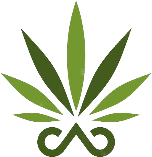 Bcch - Illustration (513x544), Png Download