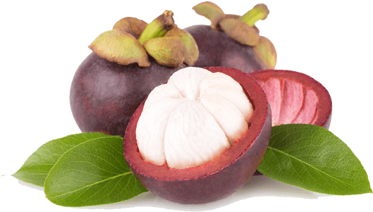 Thai Fresh Mangosteen - Мангостин Png (600x500), Png Download