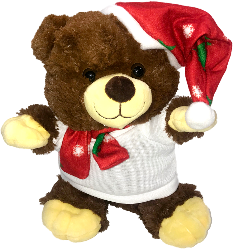 Christmas Teddy Bear - Christmas Day (800x862), Png Download