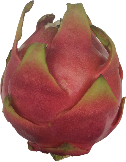 More Views - Pitaya (800x800), Png Download