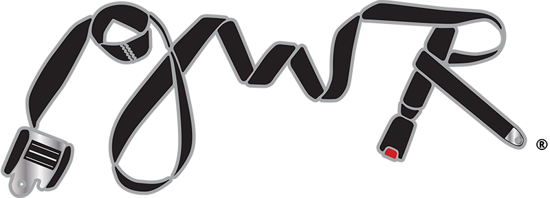 Seat Belt (800x289), Png Download