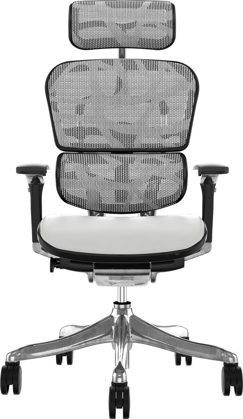 Full Size Of Swivel Office Chair Without Wheels Home - Ergohuman Plus Leather Brown (1200x1600), Png Download