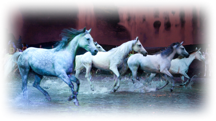 Odysseo, Nascar & Easy Ways To Change Your Diet This - Horses Cavalia (700x393), Png Download