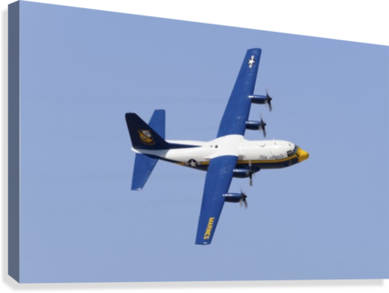 A C-130 Hercules Of The Blue Angels Flight Demonstration - C-130 Hercules Of The Blue Angels Flight Demonstration (429x323), Png Download