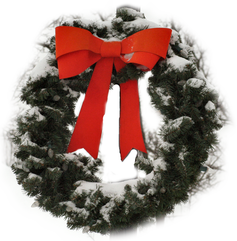 This Is A Nation-wide Program In Which Thousands Of - Christmas Ornament (800x815), Png Download