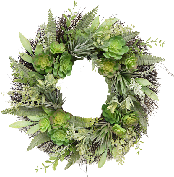 Succulent Grass Wreath - Wreath (600x609), Png Download