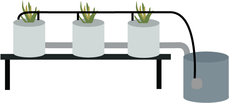 Dutch Bucket - Dutch Bucket Hydroponics (800x440), Png Download