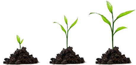 Execute Your Roll Out Under The Guidance Of An Experienced - Employee Growth (500x281), Png Download