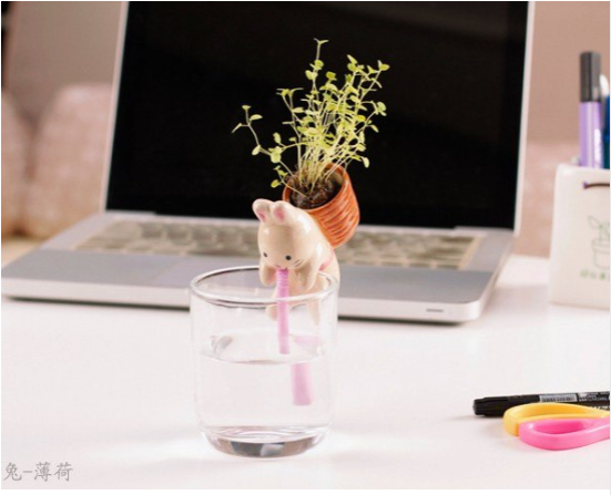 9 Pig Interest Ofiice Desk Green Planting Gerdening - 150105 (550x550), Png Download