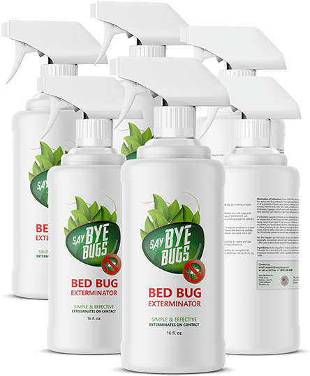 6 16 Oz X2 - Plastic Bottle (503x630), Png Download