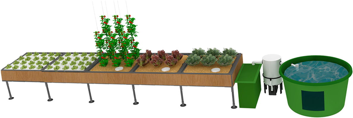 Click - Home Aquaponics Systems (1205x427), Png Download