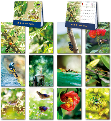 Dmc901world Sceneries 7 Sheets Desk Monthly Calendar - Collage (410x410), Png Download