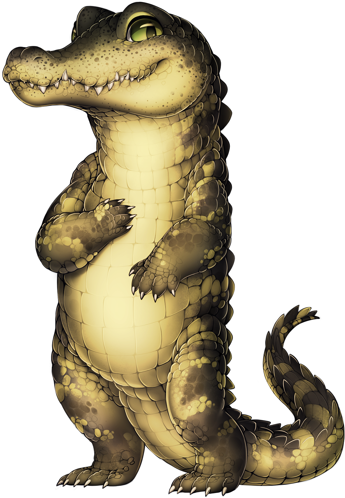 Dzhds2a - Alligator Png (1305x1800), Png Download