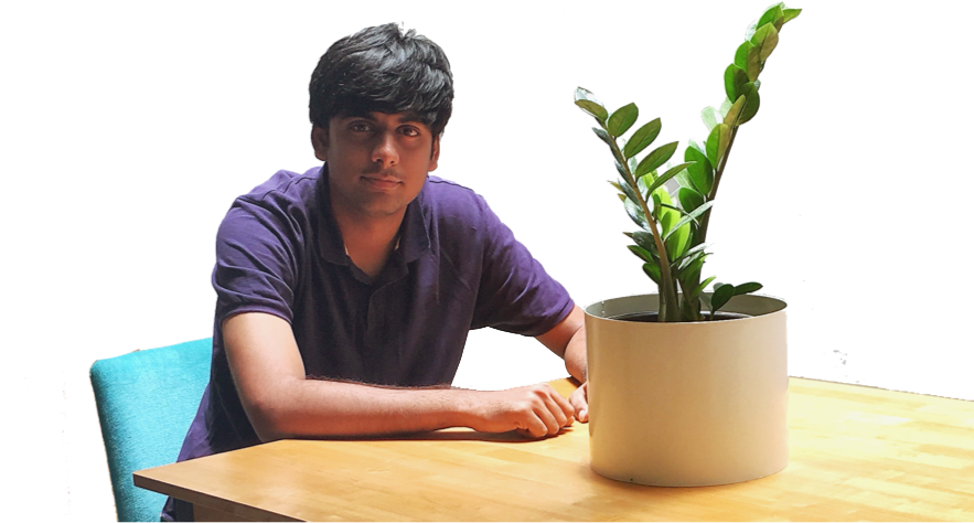 Zoho Sheet - Houseplant (883x474), Png Download