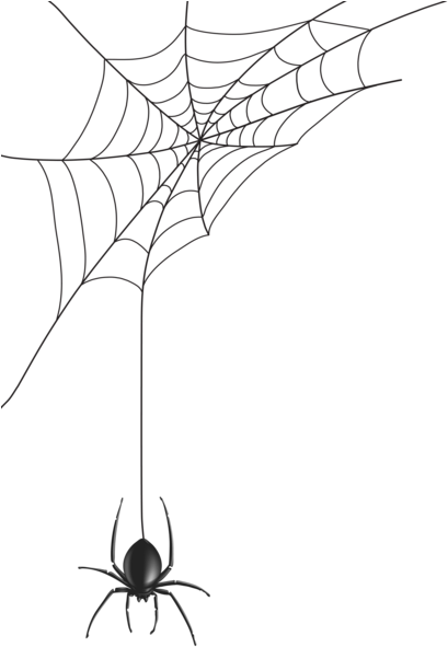 0, - Spider Web Vector (412x600), Png Download