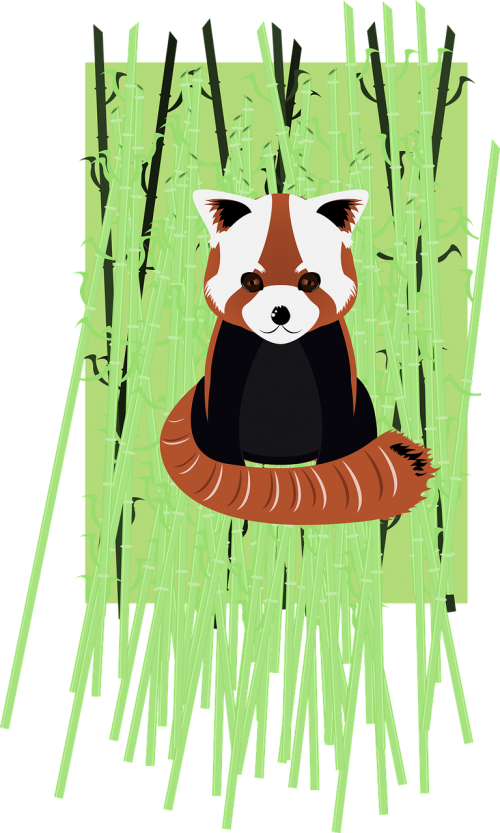 Red Vector Graphics - Red Panda Painting Journal: Take Notes, Write Down (500x833), Png Download