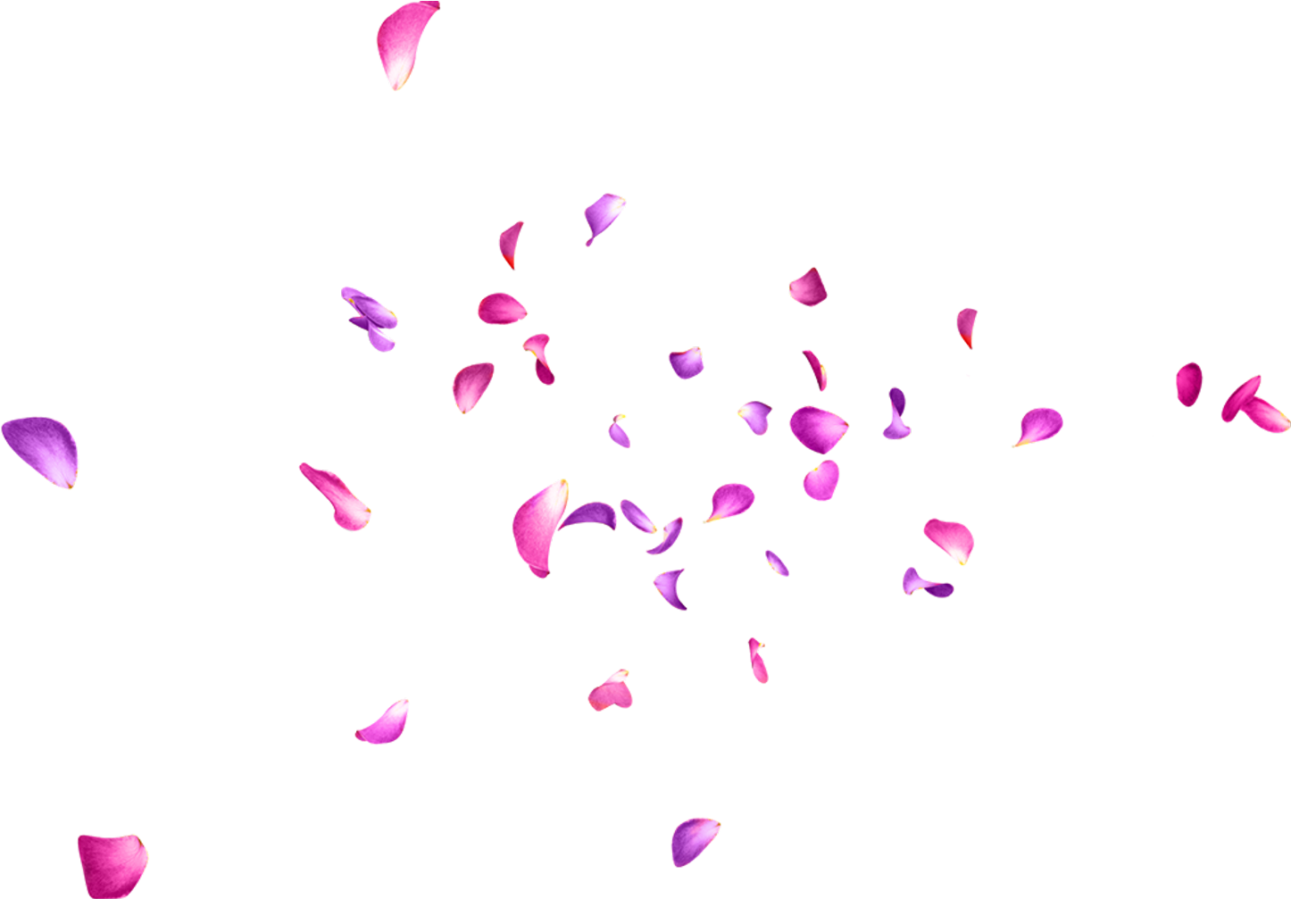 Report Abuse - Flower (1536x1024), Png Download