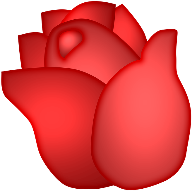 Petalo De Rosa Png - Imagenes De Petalos De Rosa (720x720), Png Download