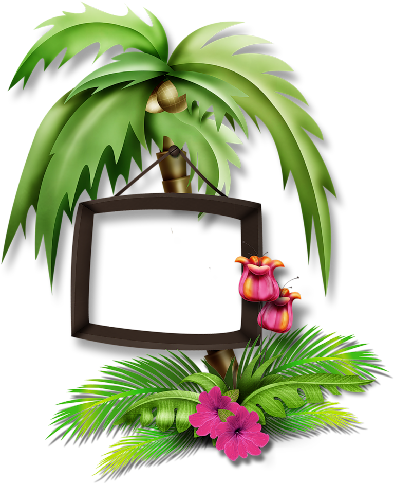 1000 Images About Tropical♒beach⏅water Art Clipartⓟhoto - Portable Network Graphics (1024x1024), Png Download