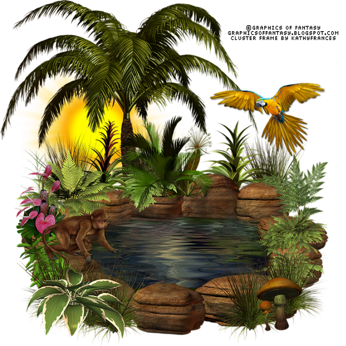 Tropical Beauty Cluster Frame - Пруд Пнг (700x700), Png Download