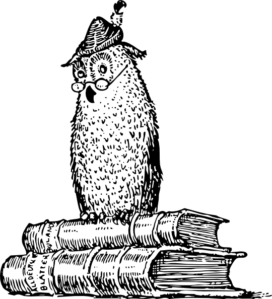 Free Vector Wise Owl On Books Clip Art - Owl Whom (540x594), Png Download