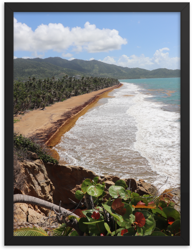 A Vertically Rectangular Picture Of Paradise With A - Beach (1000x1000), Png Download