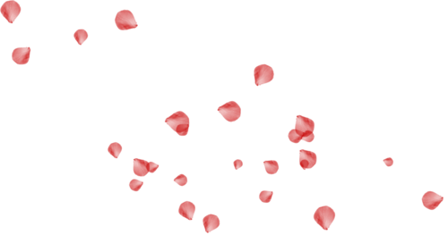 Petalo Di Rosa Png - Le Ceneri Di Candore [book] (500x263), Png Download