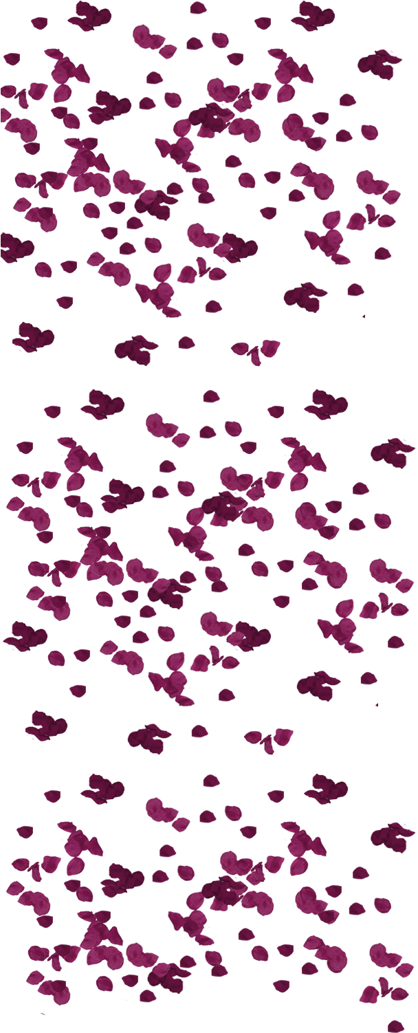 607 × 2000 In Petalos (607x2000), Png Download