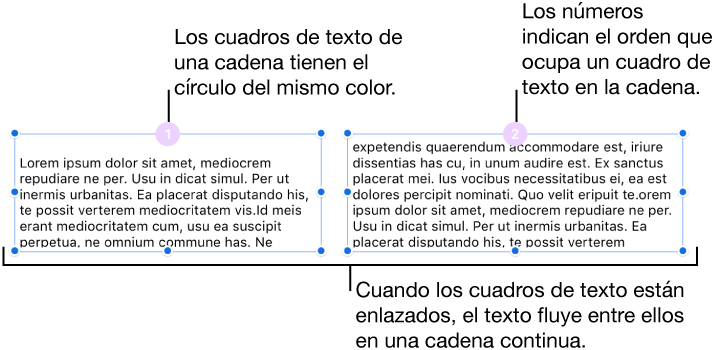 Dos Cuadros De Texto Con Círculos De Color Lila En - Violet (716x350), Png Download