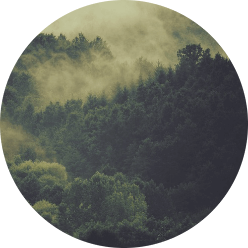 Trees - Hello October 2016 Hd (500x500), Png Download