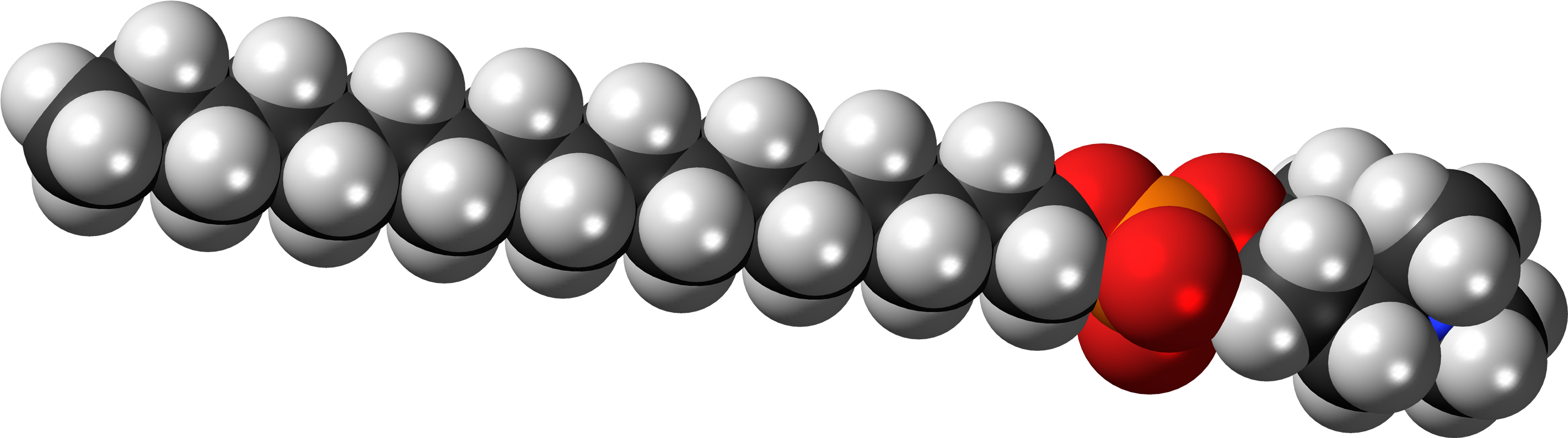 Perifosine Zwitterion 3d Spacefill - Space Filling Model Of Phospholipide (3050x1000), Png Download