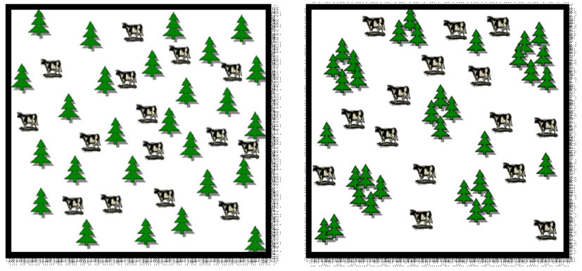 Grouped Trees - Fig - 3 - Trees In - Tree (850x396), Png Download