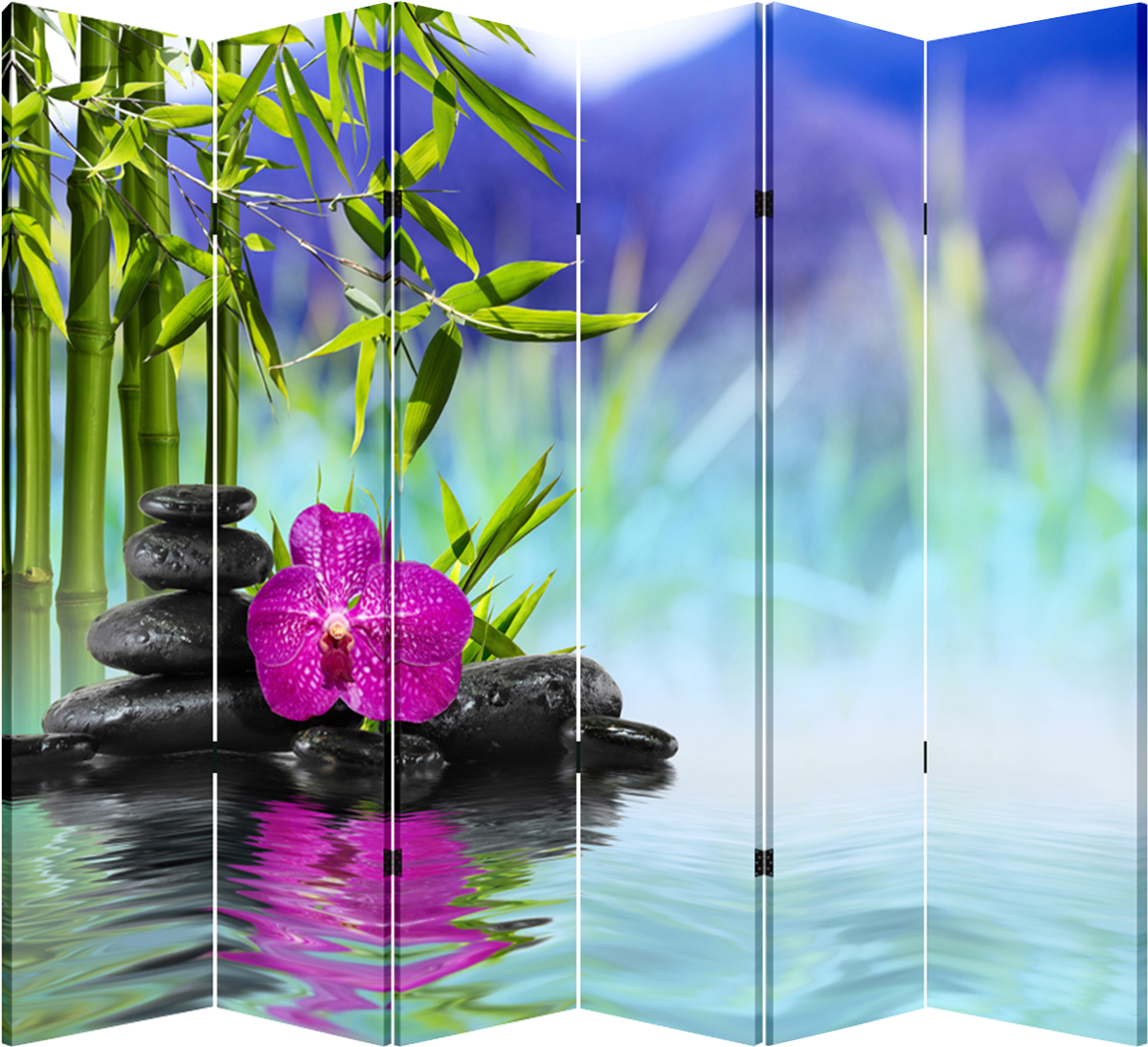 6 Panel Folding Screen Canvas Divider- Hot Stone & - Orchid Water (1252x1200), Png Download