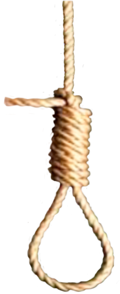 Hanging Rope Cord Remixit Ftestickers - Arrow (240x586), Png Download
